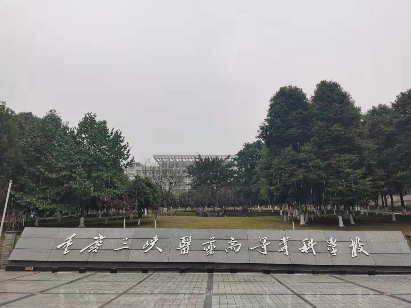 校门.jpeg